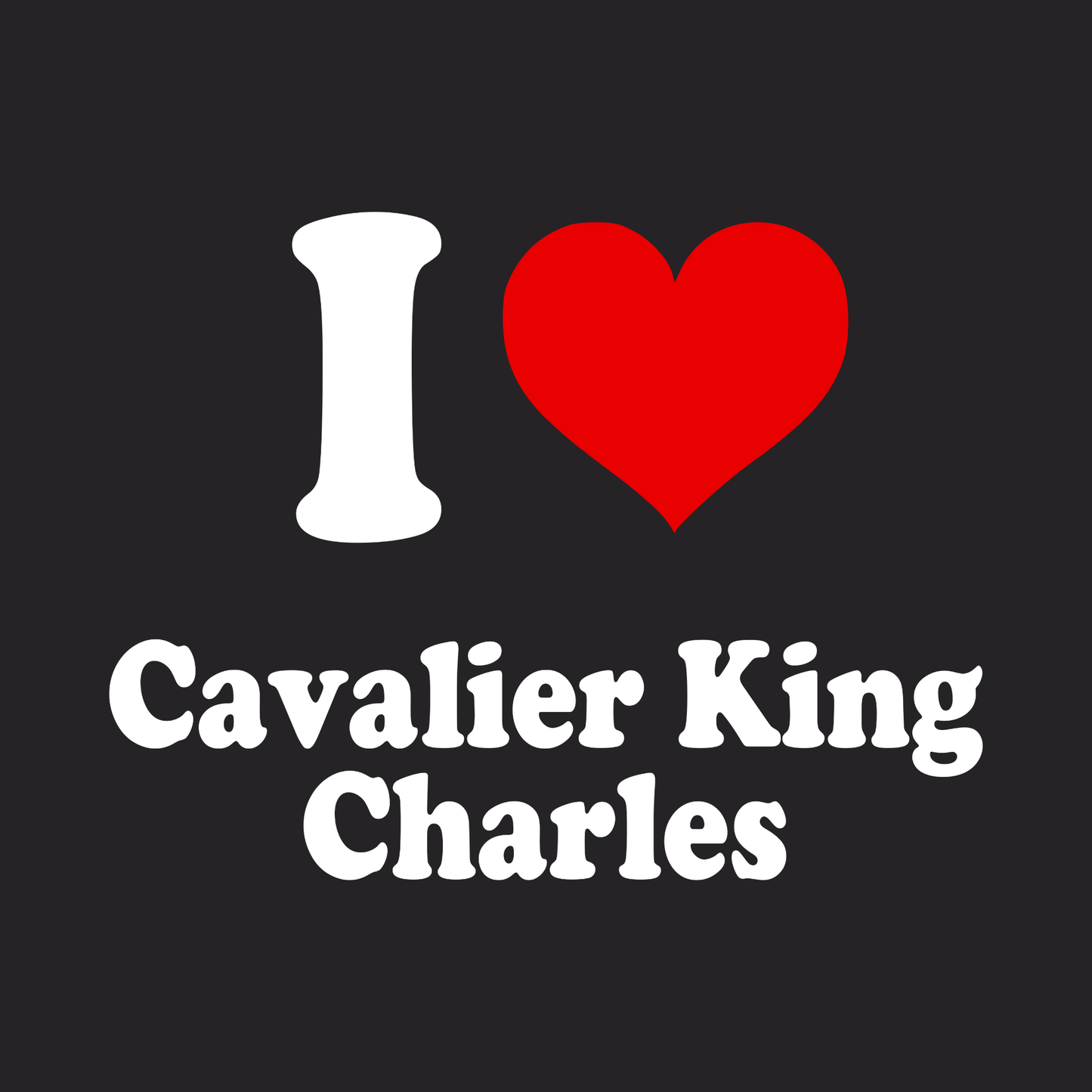 Cavalier King Charles Spaniel