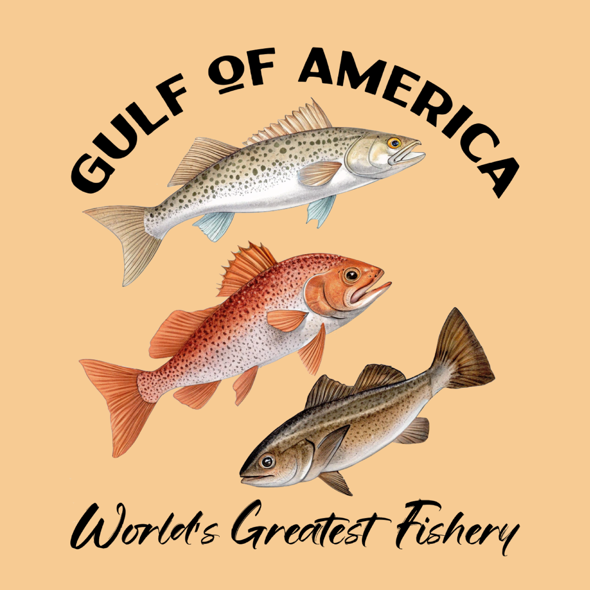 Spotted Seatrout, Red Fish & Cobia - Gulf of America