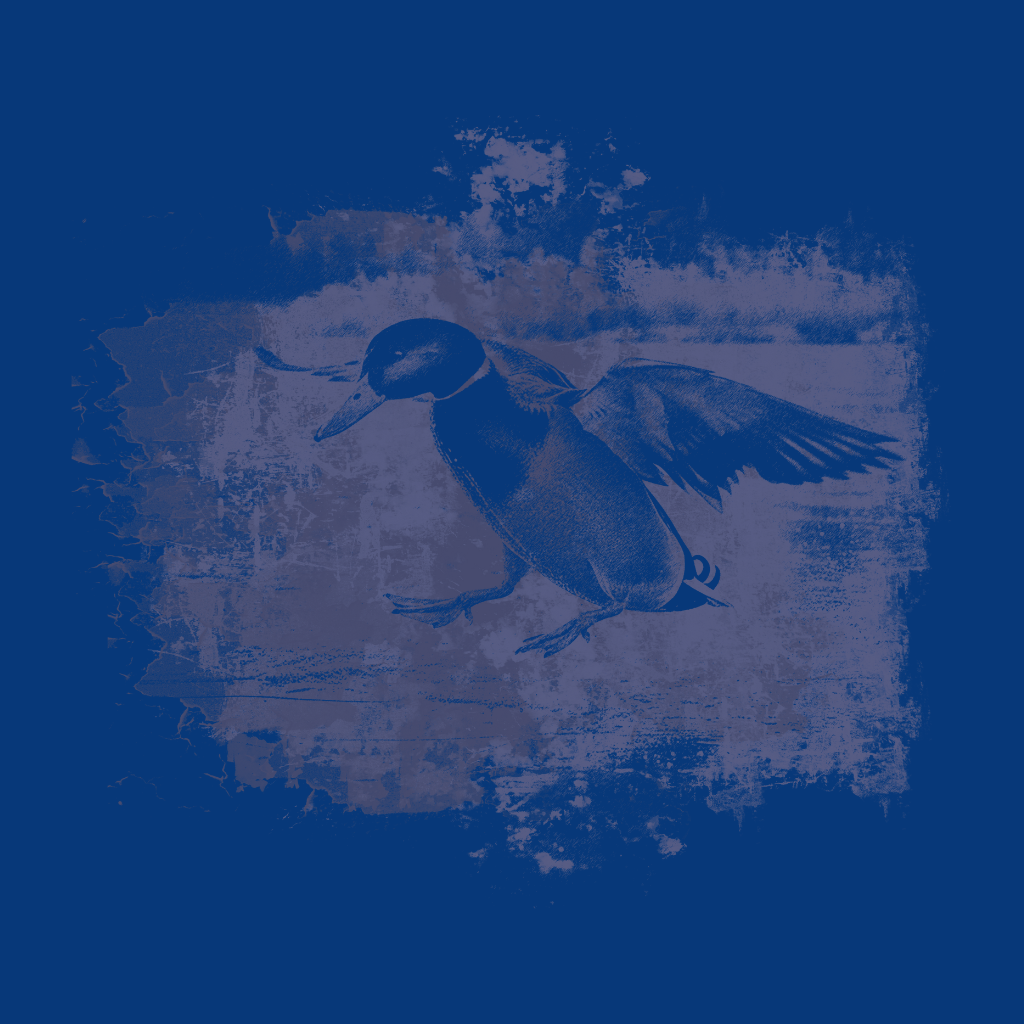 Mallard