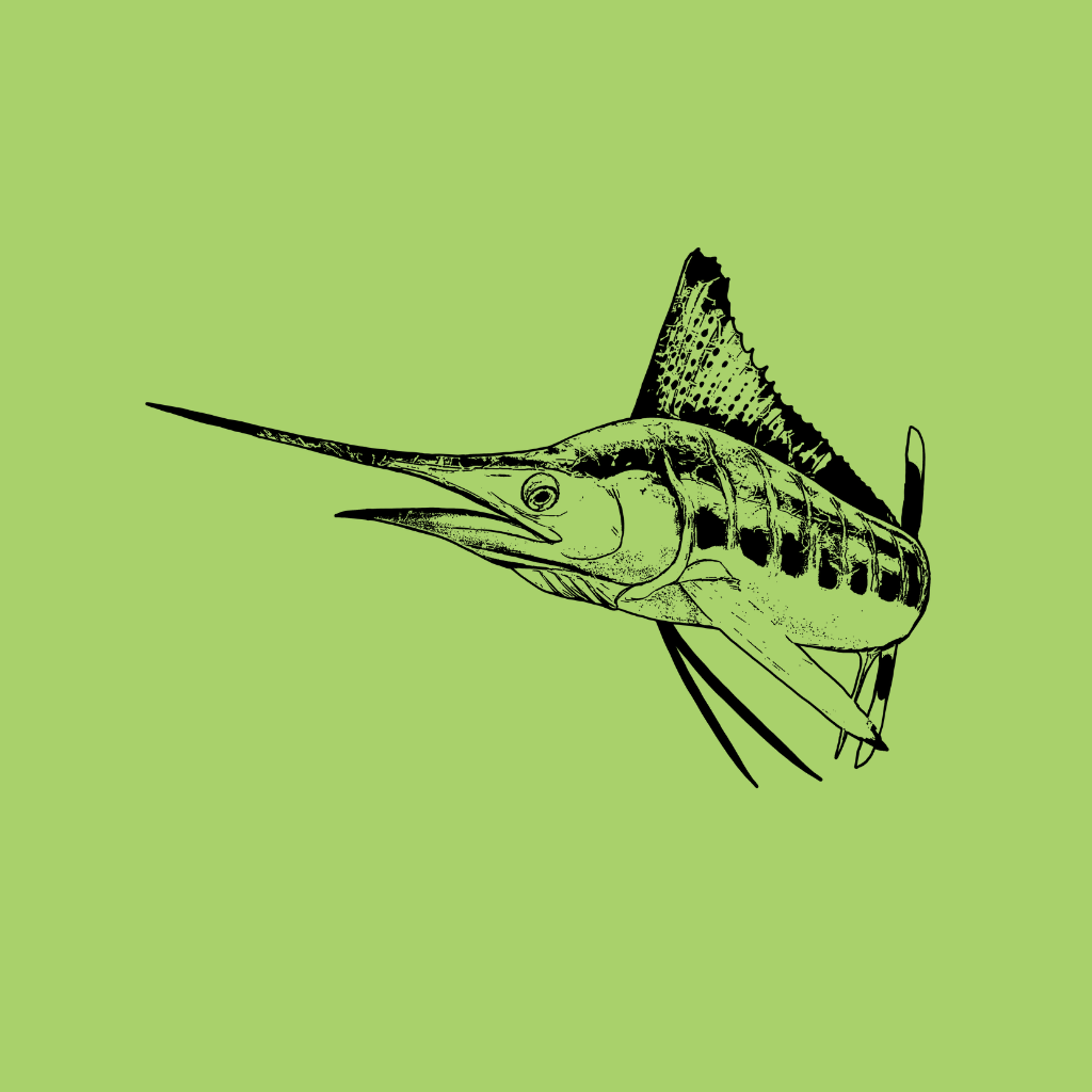 Blue Marlin - Deep Blue