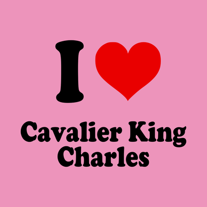 Cavalier King Charles Spaniel