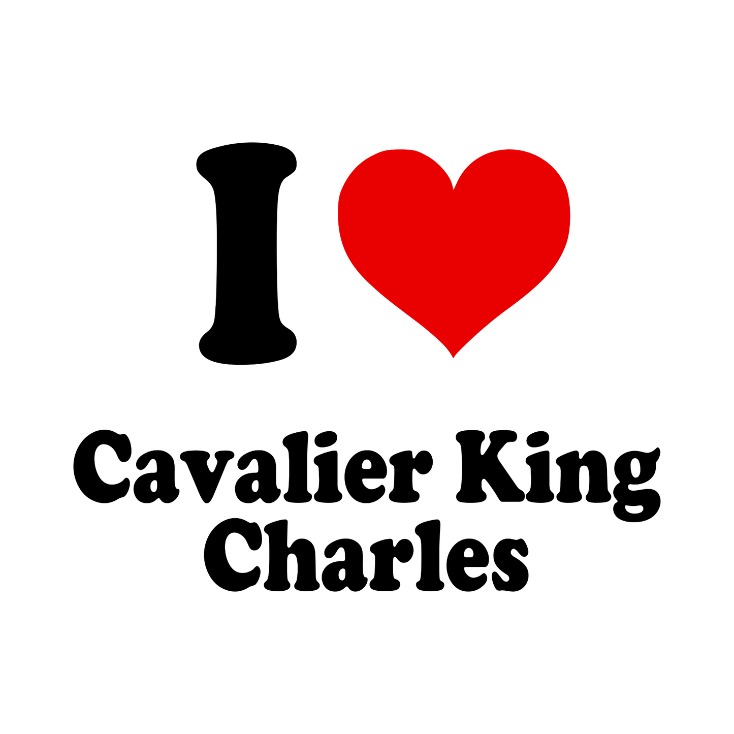 Cavalier King Charles Spaniel