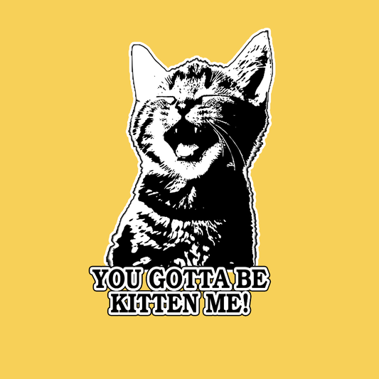 Kitten