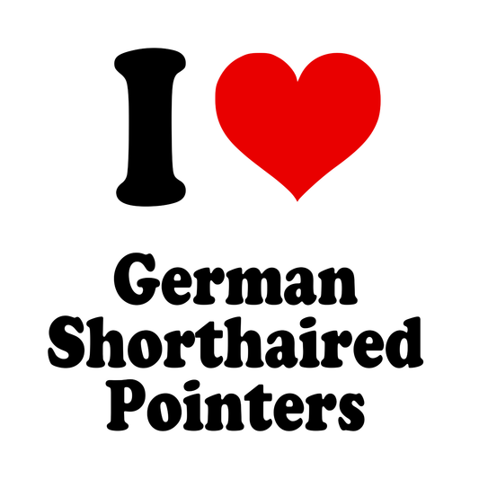 German Shorthaired Pointers
