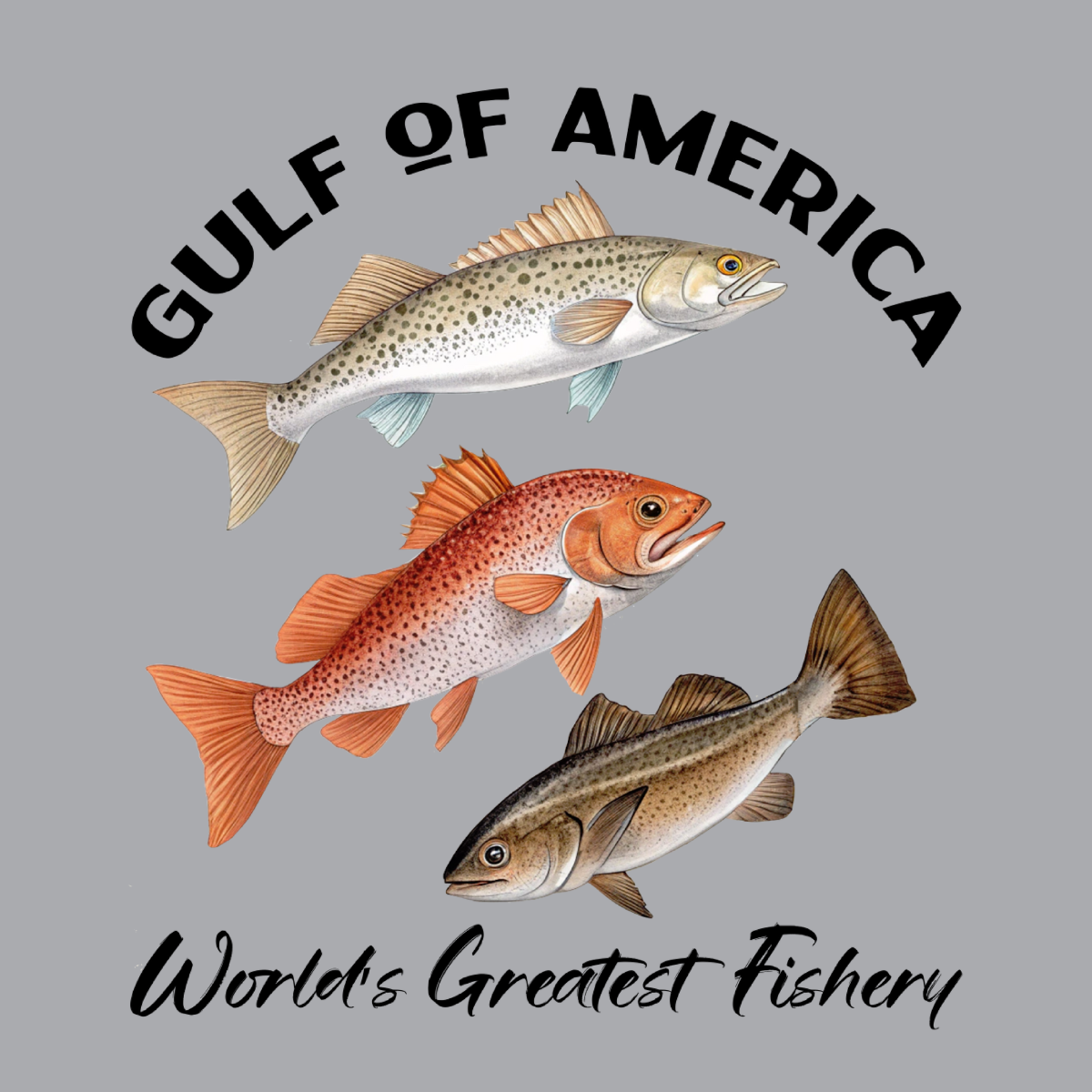 Spotted Seatrout, Red Fish & Cobia - Gulf of America