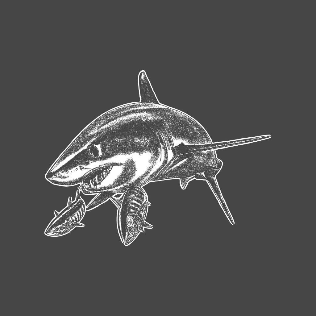 Mako Shark - Deep Blue