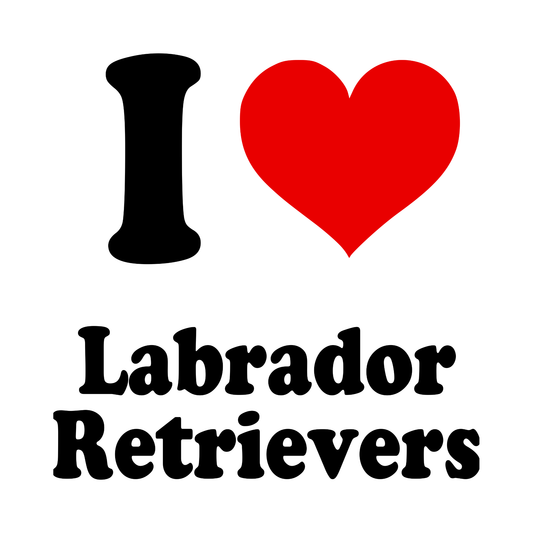 Labrador Retrievers