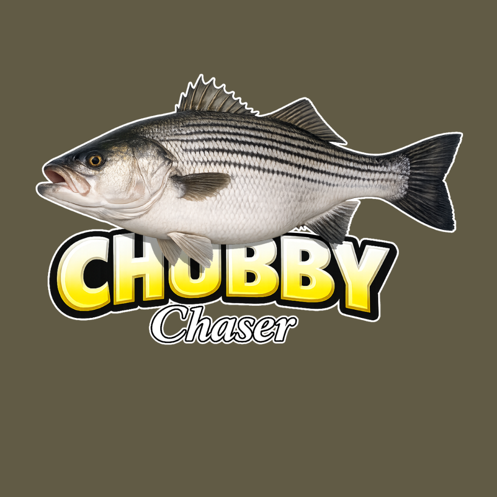 ChubbyStipedBassArt