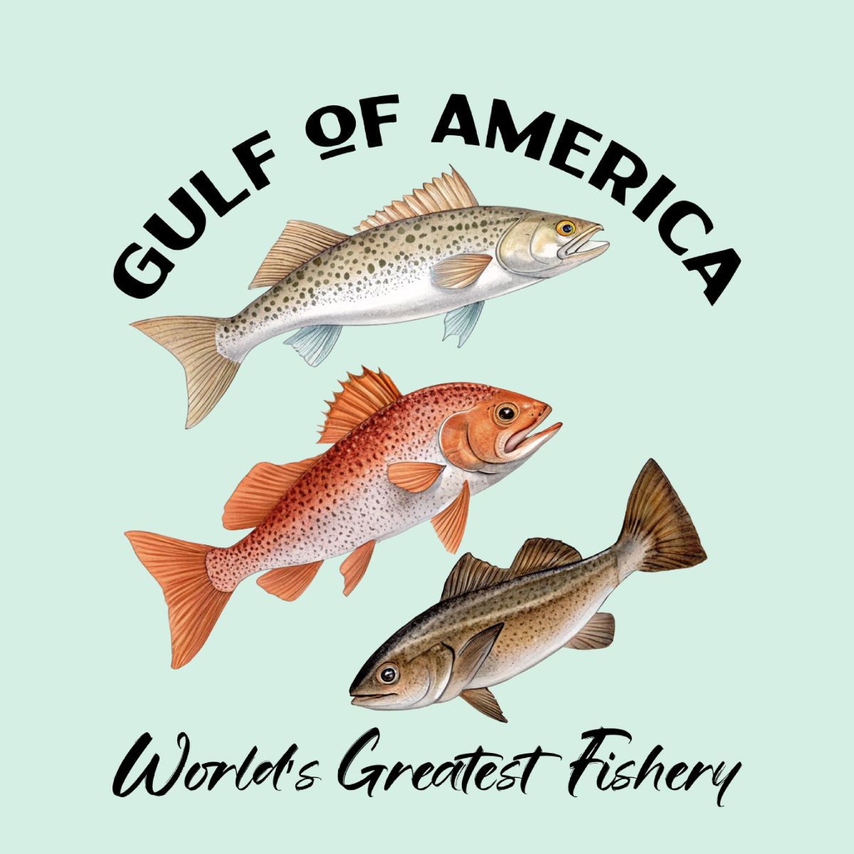 Spotted Seatrout, Red Fish & Cobia - Gulf of America