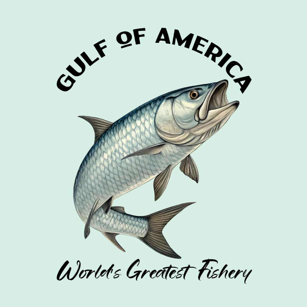 Tarpon - Gulf of America