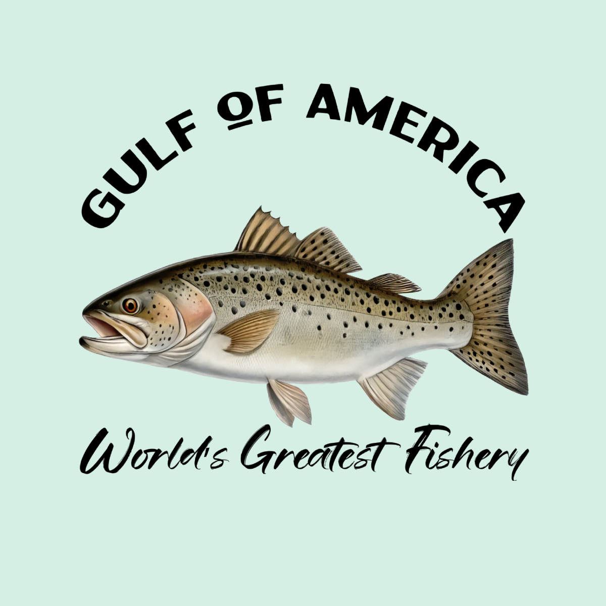 Spotted Seatrout - Gulf of America