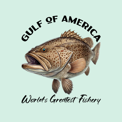 Grouper - Gulf of America