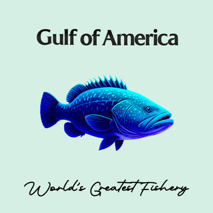 Futuristic Grouper - Gulf of America