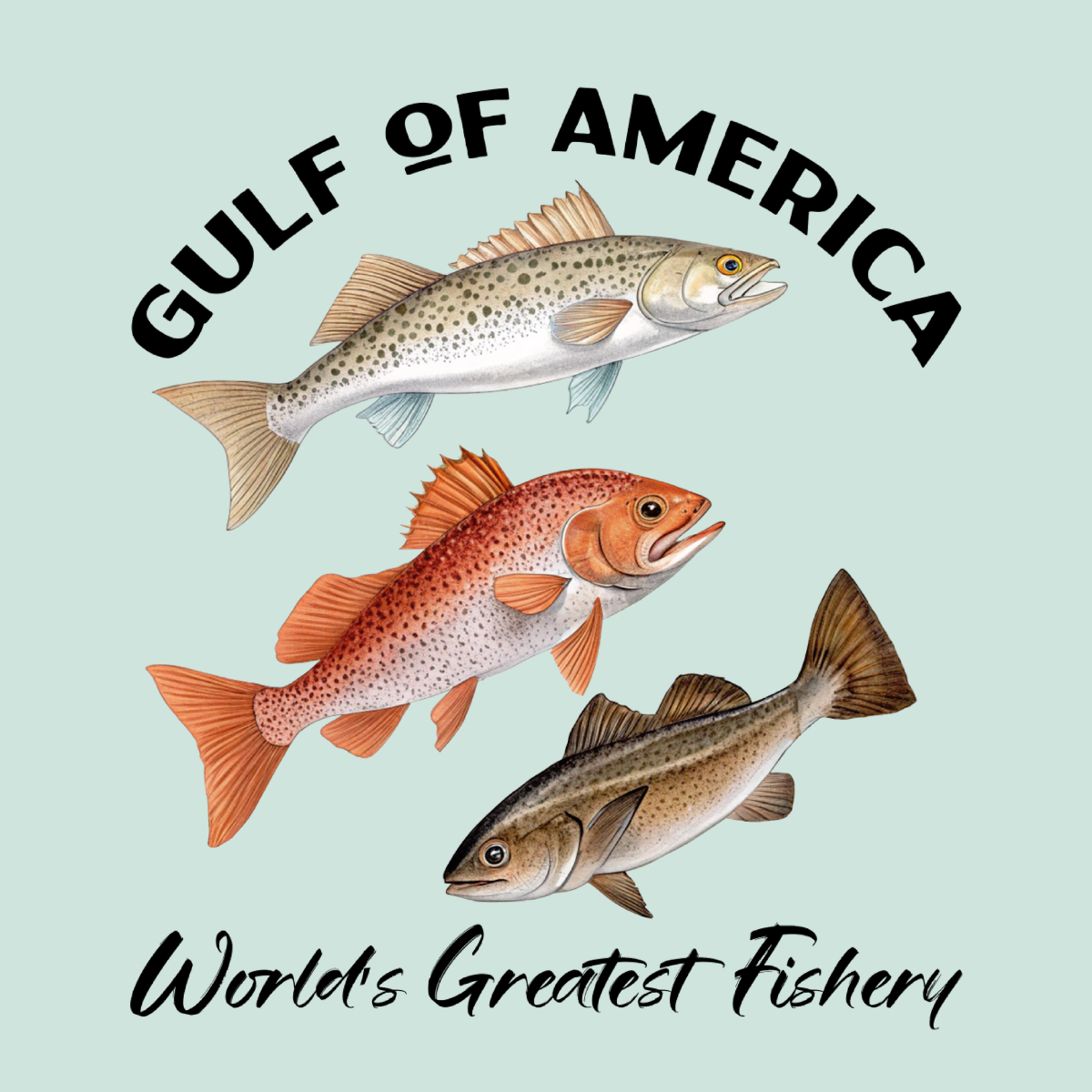 Spotted Seatrout, Red Fish & Cobia - Gulf of America