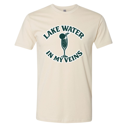 Lake Water