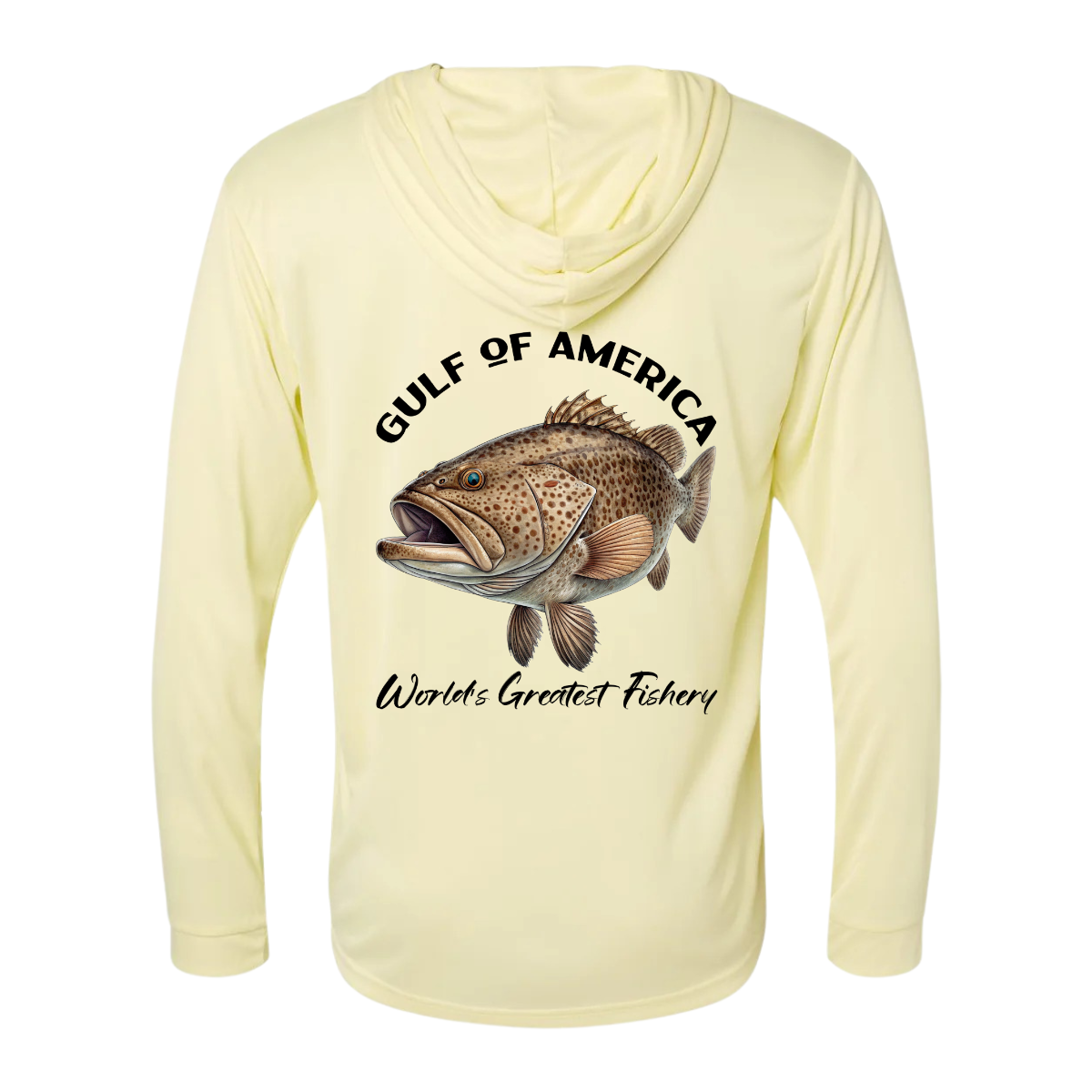 Grouper - Gulf of America