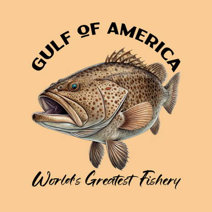 Grouper - Gulf of America