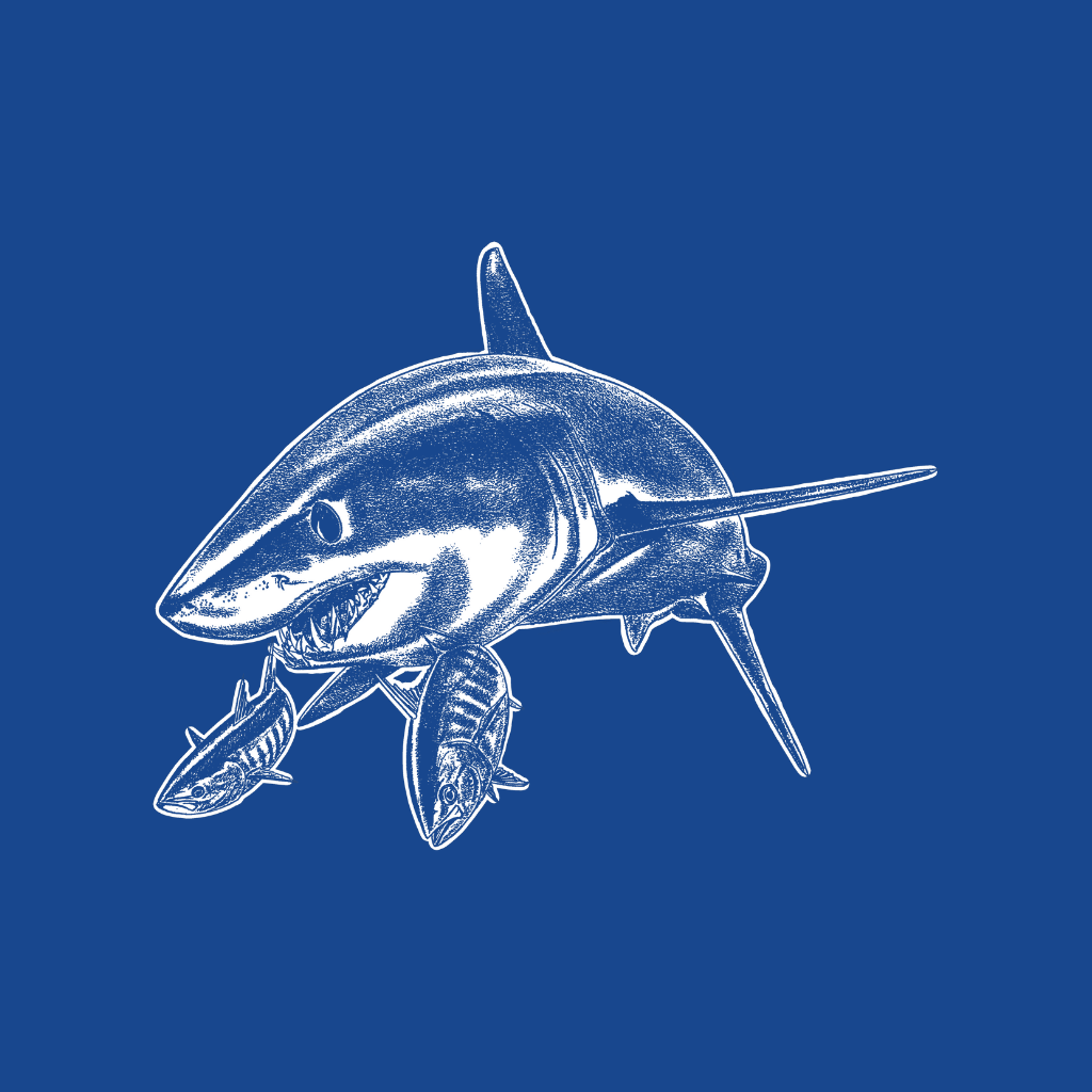 Mako Shark - Deep Blue