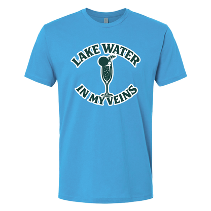 Lake Water