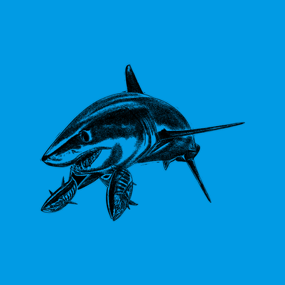 Mako Shark - Deep Blue