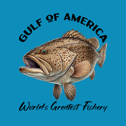 Grouper - Gulf of America