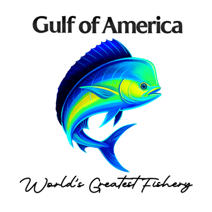 Mahi Mahi - Gulf of America