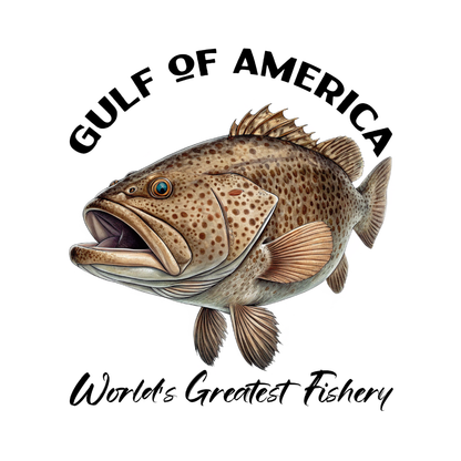 Grouper - Gulf of America