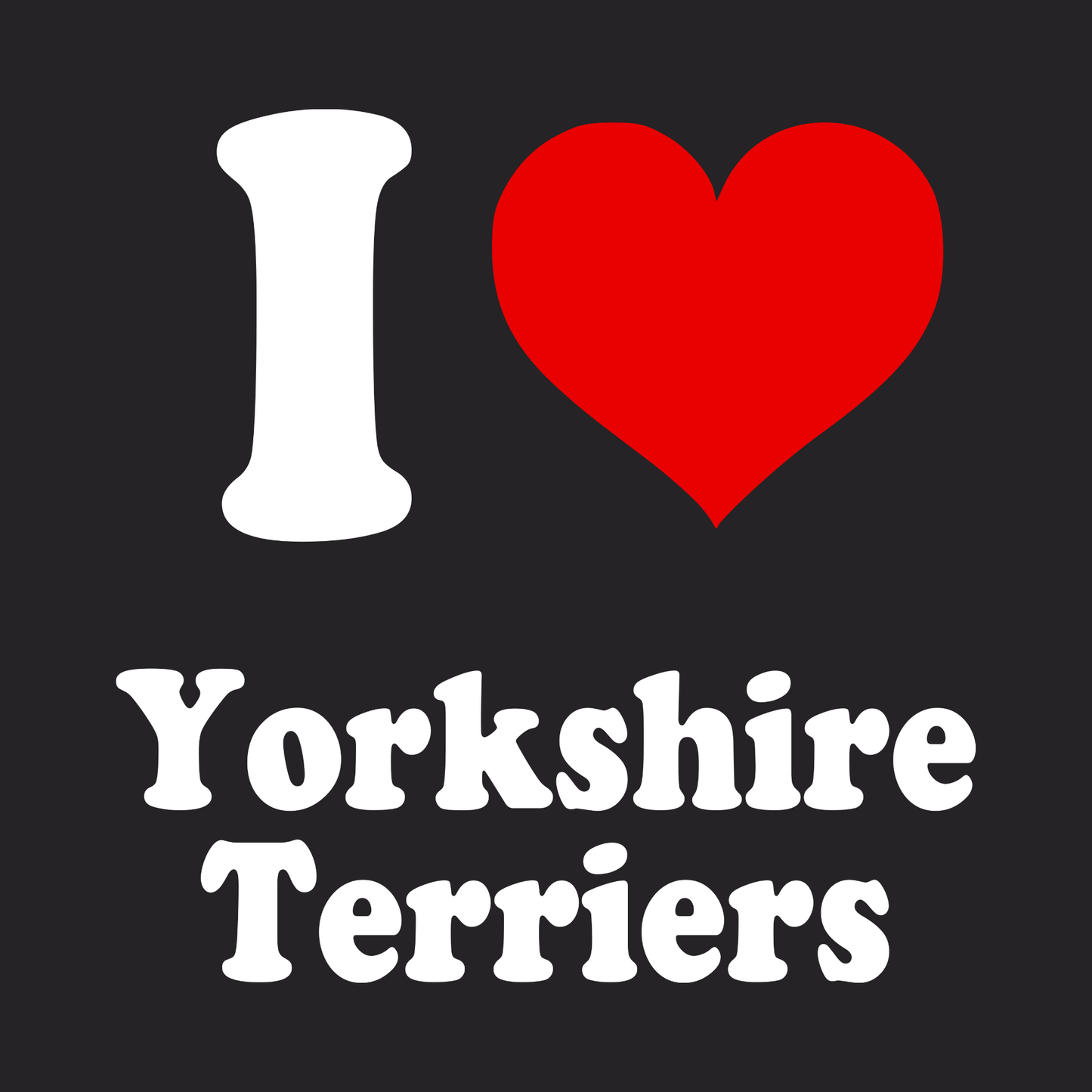 Yorkshire Terriers