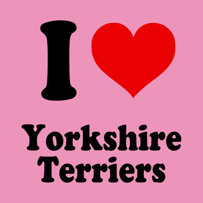 Yorkshire Terriers