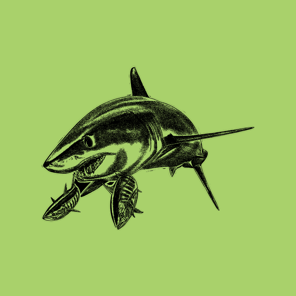 Mako Shark - Deep Blue