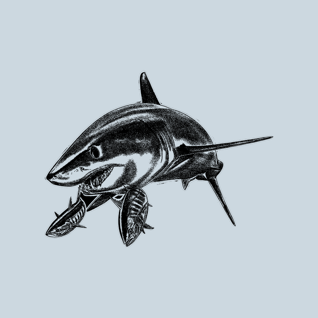 Mako Shark - Deep Blue