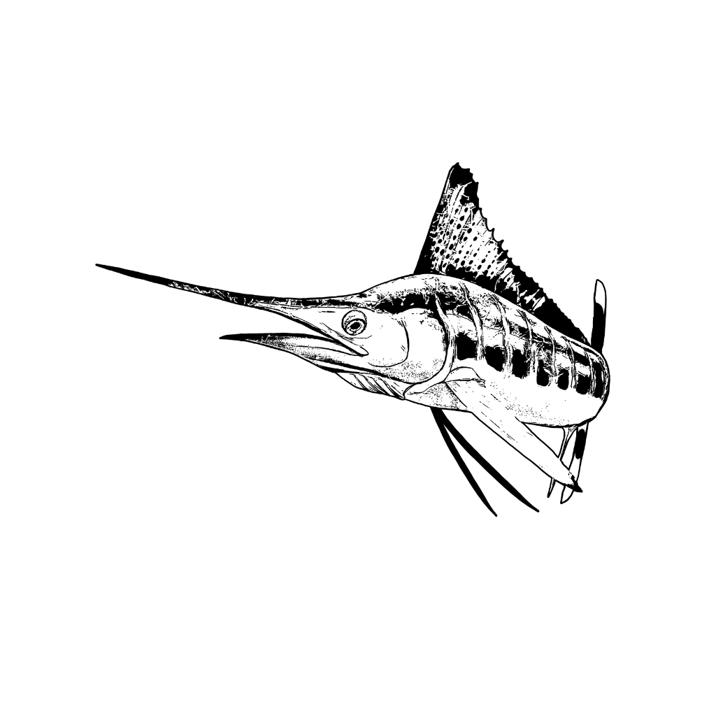 Blue Marlin - Deep Blue