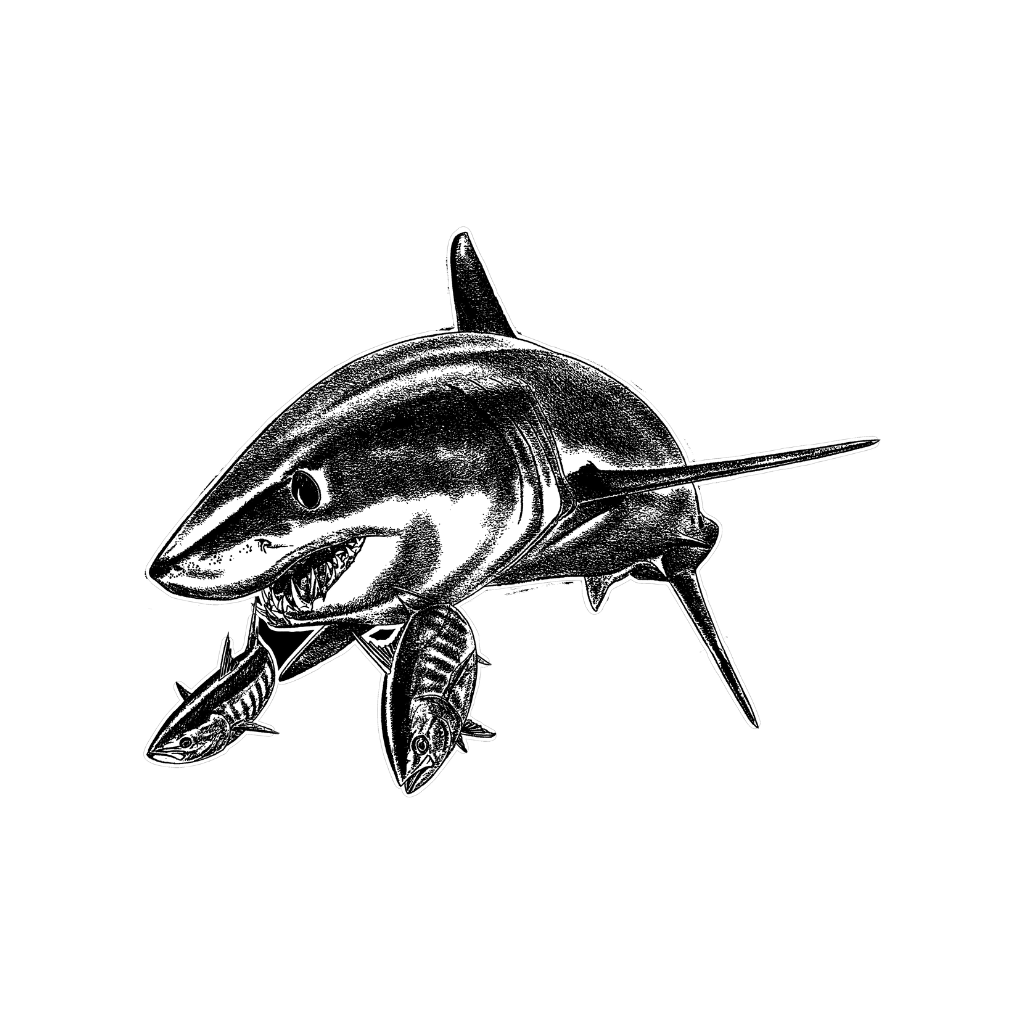 Mako Shark - Deep Blue